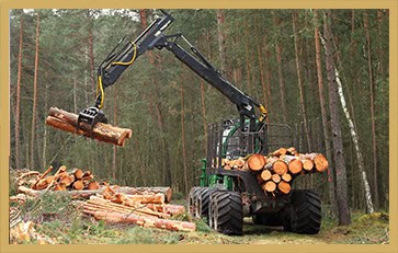 Tracteur-grue ramassant des troncs d'arbres abattus