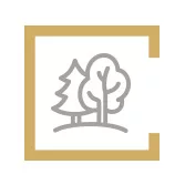 Icône d'arbres forestiers